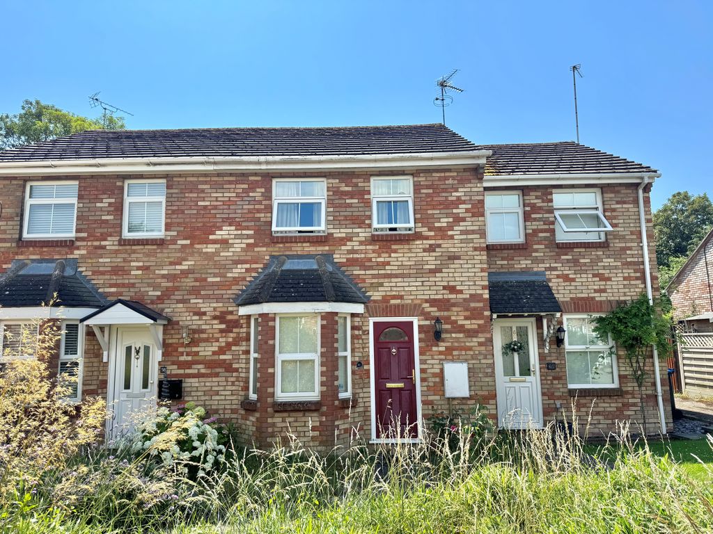 Main Image